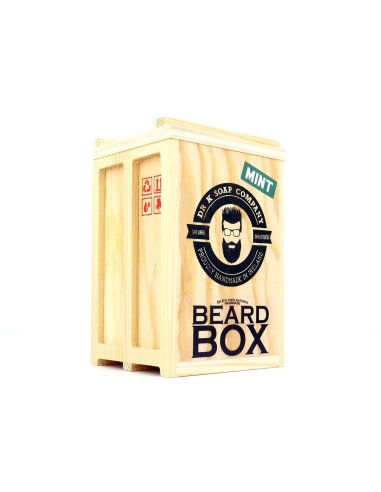 PACK VIAJE COOL MINT PARA BARBA DR SOAP COMPANY