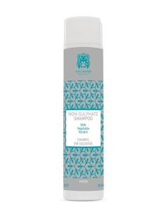 CHAMPU SIN SULFATOS 300ML VALQUER 2