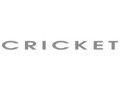 Cricket brushes